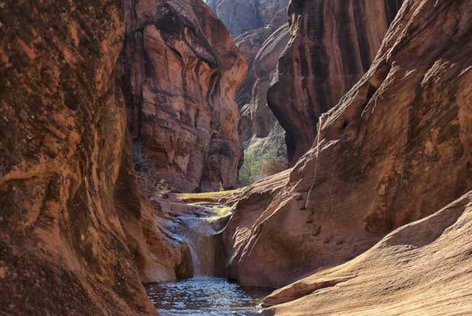 Red Cliffs Nature Trail